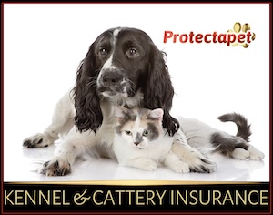 Dog with an arm around a cat promoting Protectapet's kennel and cattery business insurance.